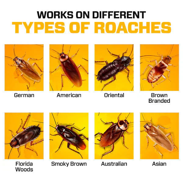 Grabit24™ Natural Gel – Safe & Powerful Cockroach Killer for Kitchens, Buy 1 Get 1 Free