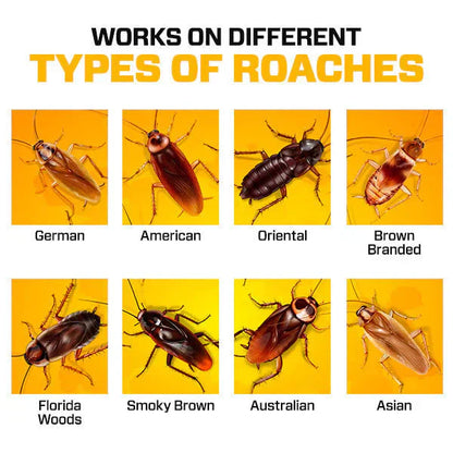 Grabit24™ Natural Gel – Safe & Powerful Cockroach Killer for Kitchens, Buy 1 Get 1 Free